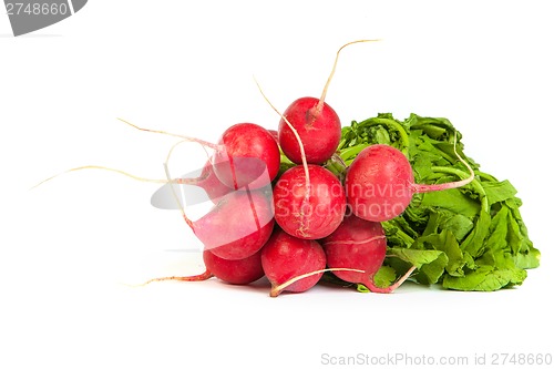 Image of A bunch of fresh radishes isolated on white