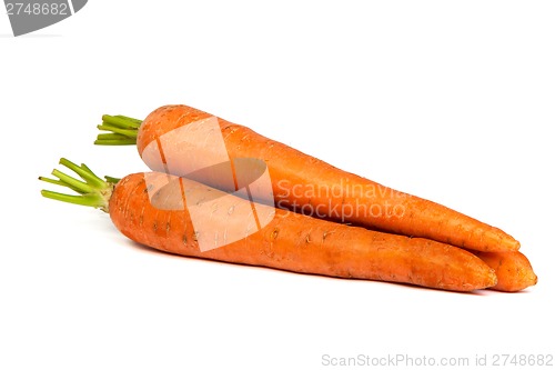 Image of Bunch of fresh carrot isolated on white