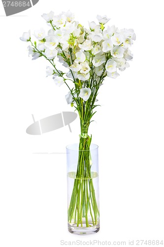 Image of spring flowers background on white background