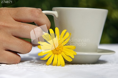Image of Coffee and Flower