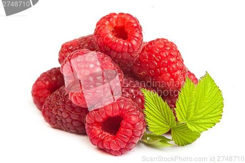 Image of Bunch of a red raspberry on a white background. Close up macro s