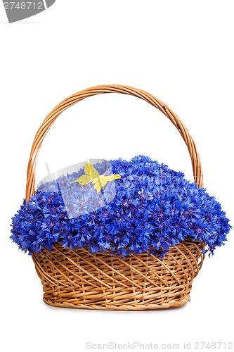 Image of Beautiful blue cornflowers in a basket