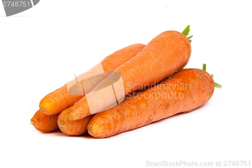 Image of Bunch of fresh carrot isolated on white