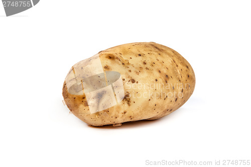 Image of One potato isolated on white