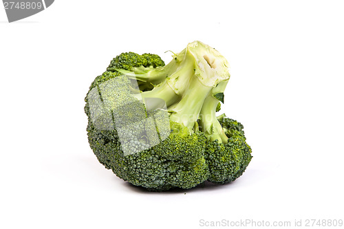 Image of Single broccoli floret isolated on white