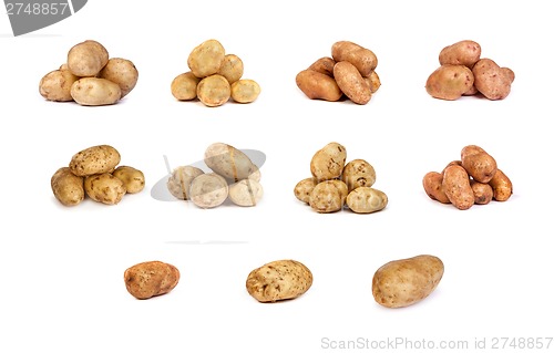 Image of set of potatoes isolated on white