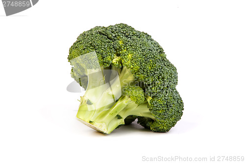 Image of Single broccoli floret isolated on white