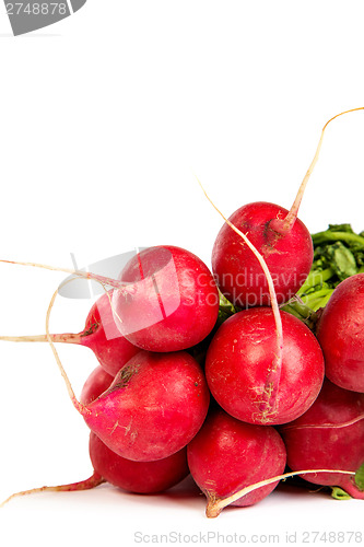 Image of A bunch of fresh radishes isolated on white