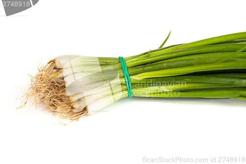 Image of Fresh scallions isolated on white