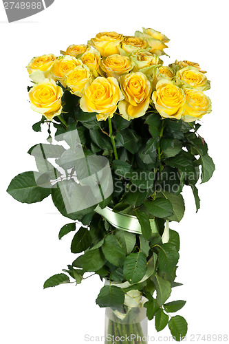 Image of Group of fresh yellow roses