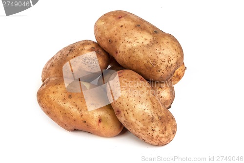 Image of Group of potatoes isolated on white