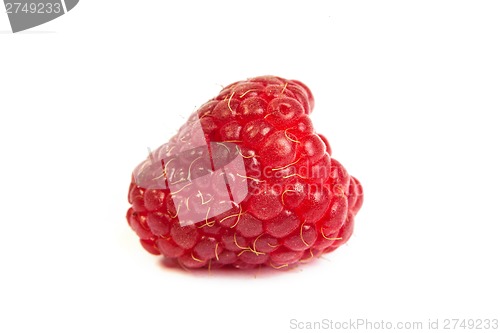 Image of Single fresh raspberry, isolated on  white. Close up macro shot