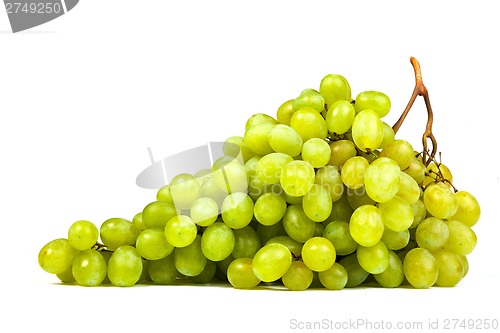 Image of Grape