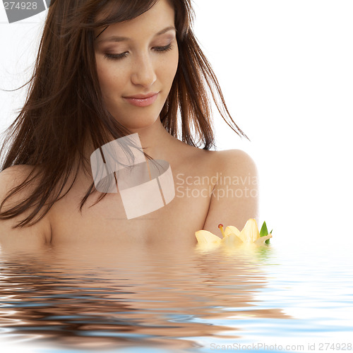 Image of brunette with yellow lily flowers in water