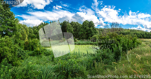 Image of Panorama of summer morning lake