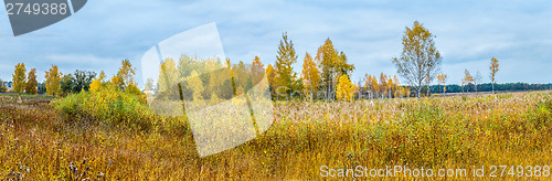 Image of Autumn forest panorama