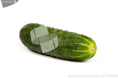 Image of Five Fresh Cucumbers isolated on white