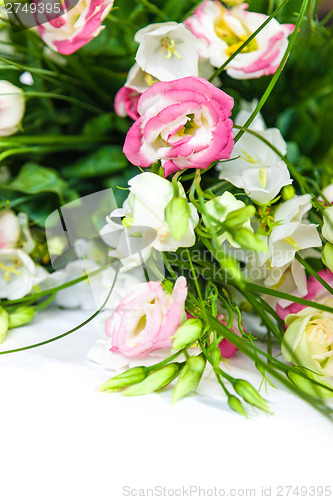 Image of spring flowers background on white background