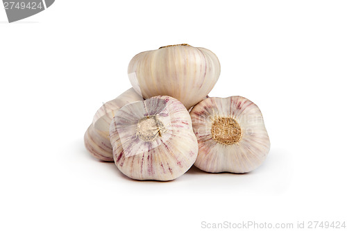 Image of Group of garlics . A heads of garlics isolated