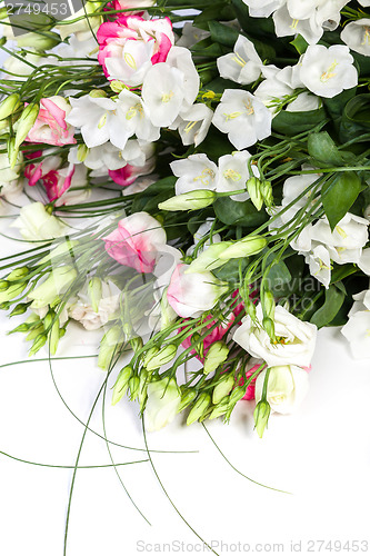 Image of spring flowers background on white background