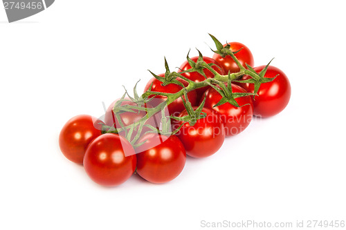 Image of Juicy organic Cherry tomatoes isolated