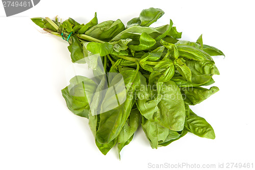 Image of Fresh green basil leaves on white background