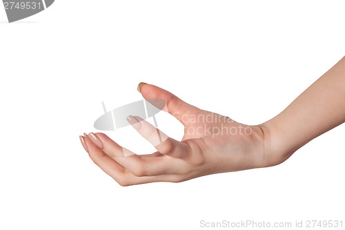 Image of Female hand reaching for something on white