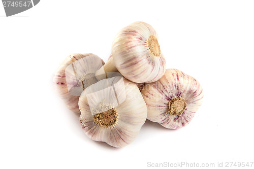 Image of Group of garlics . A heads of garlics isolated