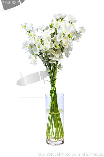 Image of spring flowers background on white background