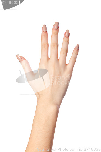 Image of Hand gesture number five closeup isolated on white