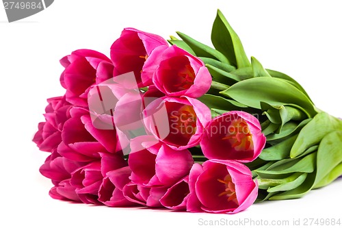 Image of Bunch of tulips on a white