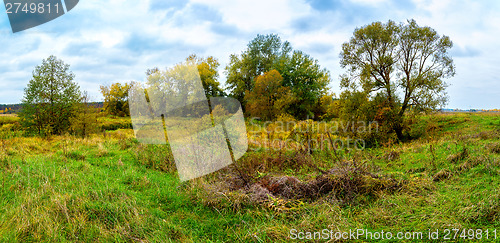 Image of Autumn forest panorama