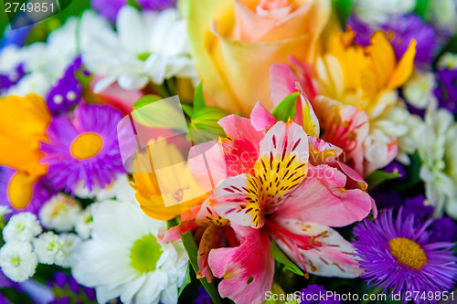 Image of spring flowers background on white background