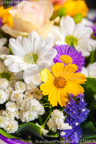 Image of spring flowers background on white background