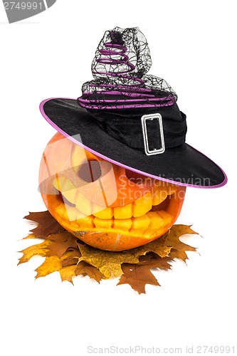 Image of Halloween pumpkin