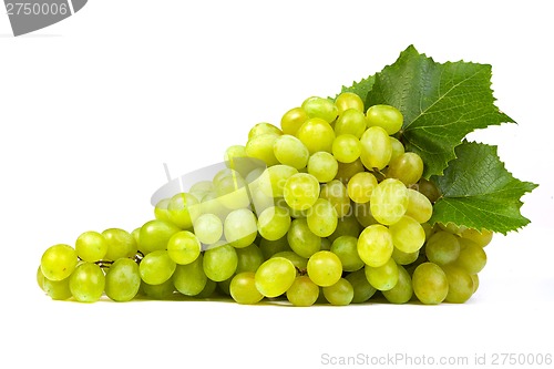 Image of Grape