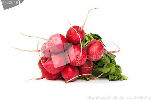 Image of A bunch of fresh radishes isolated on white