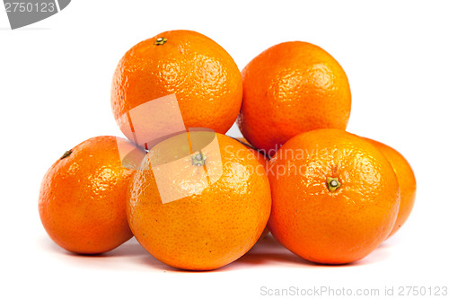 Image of Group of ripe tangerine or mandarin with slices on white