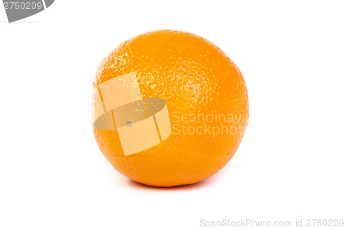 Image of Orange