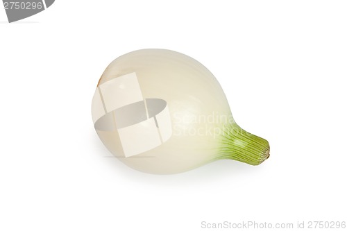 Image of One onion, isolated on white