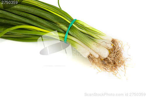 Image of Fresh scallions isolated on white