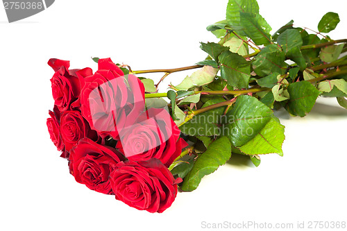 Image of Three fresh red roses over white background