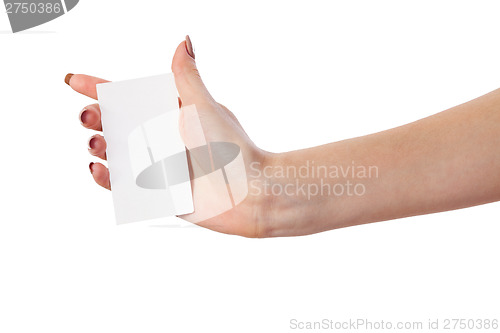 Image of Businesswoman's hand holding blank business card