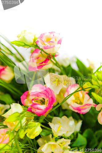Image of spring flowers background on white background