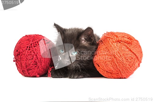 Image of Black kitten playing with a red ball of yarn on white background