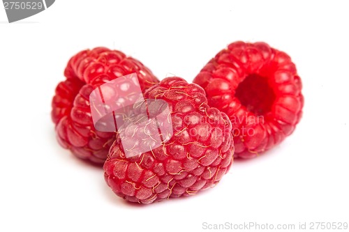 Image of Bunch of a red raspberry on a white background. Close up macro s