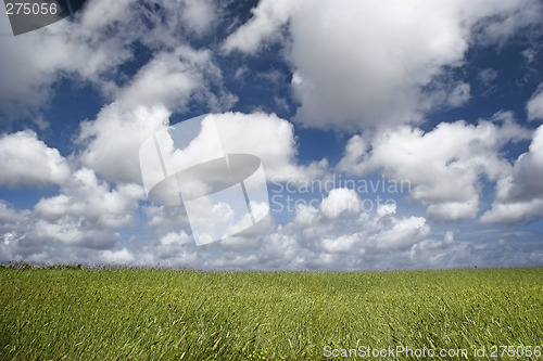 Image of Clouds over a green landscape