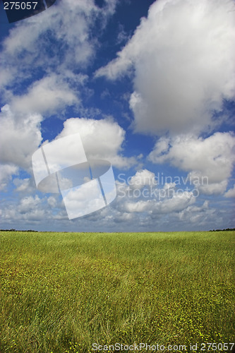 Image of Couds over a green landscape