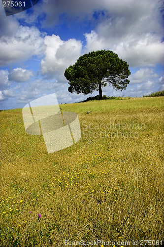 Image of Happy tree