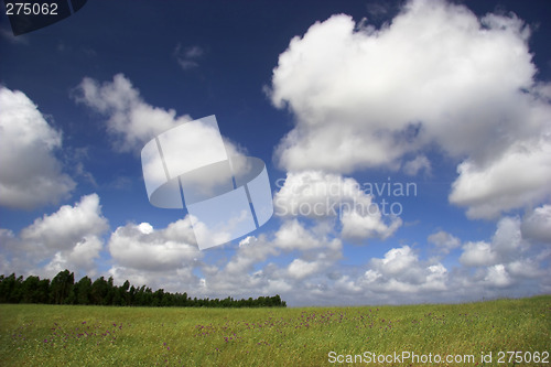 Image of Green meadow